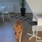Διαμέρισμα Haus Semmi *