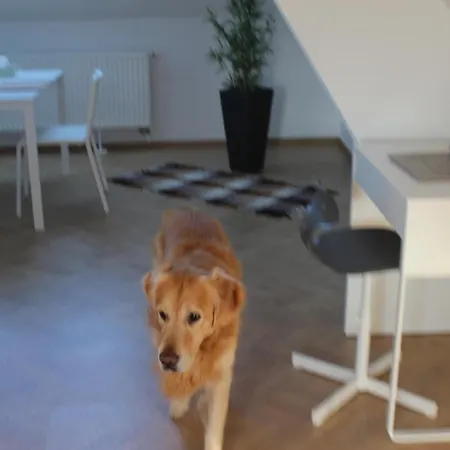 Apartment Haus Semmi *