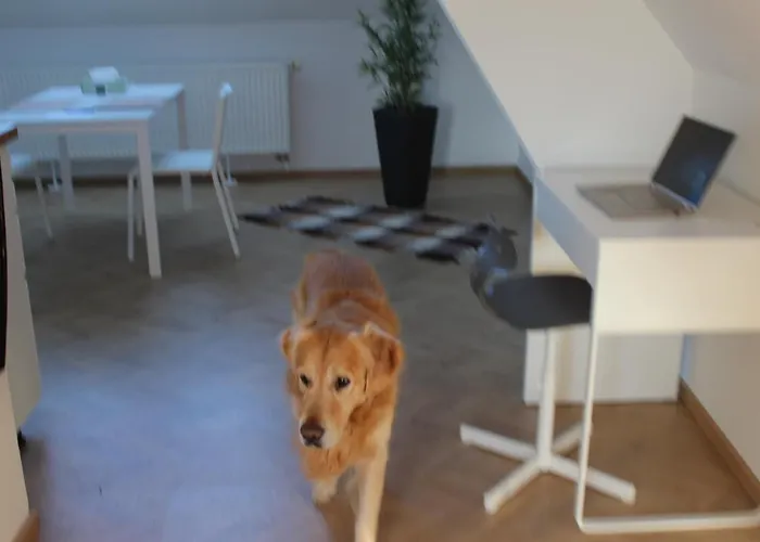 Apartment Haus Semmi *